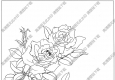 玫瑰白描线稿12高清图片下载