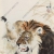 刘继卣《狮子》国画高清大图下载
