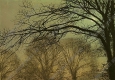 格里姆肖油画 月光下的乡间小路 高清大图下载
