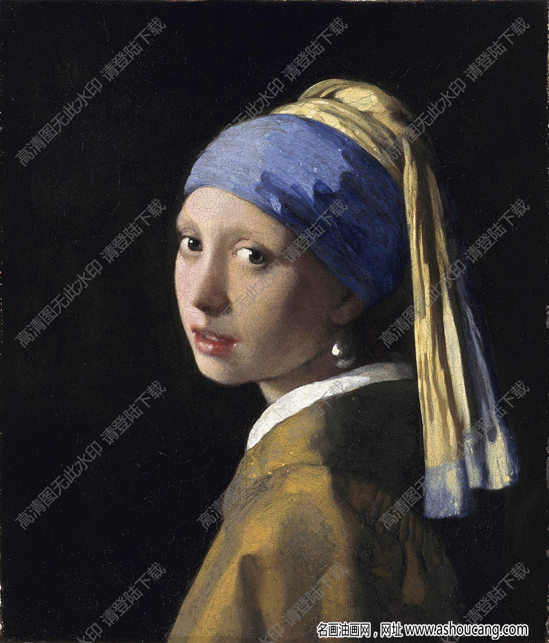维米尔 油画《 戴珍珠耳环的少女》高清大图37下载